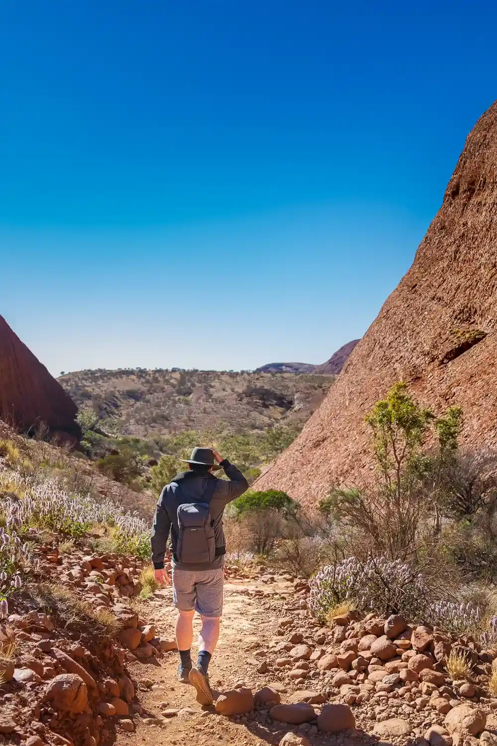 car hire alice springs