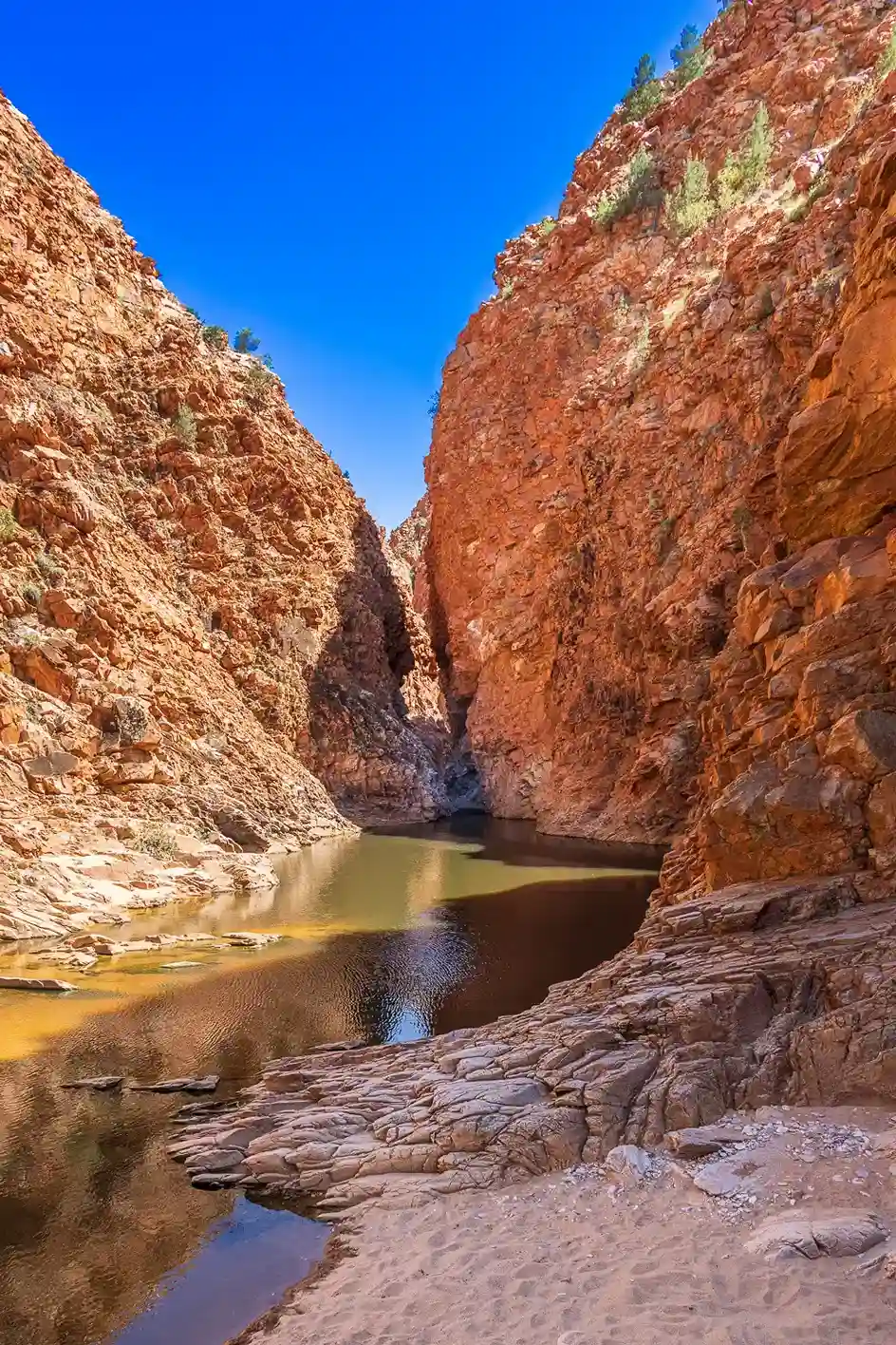 darwin car hire airport