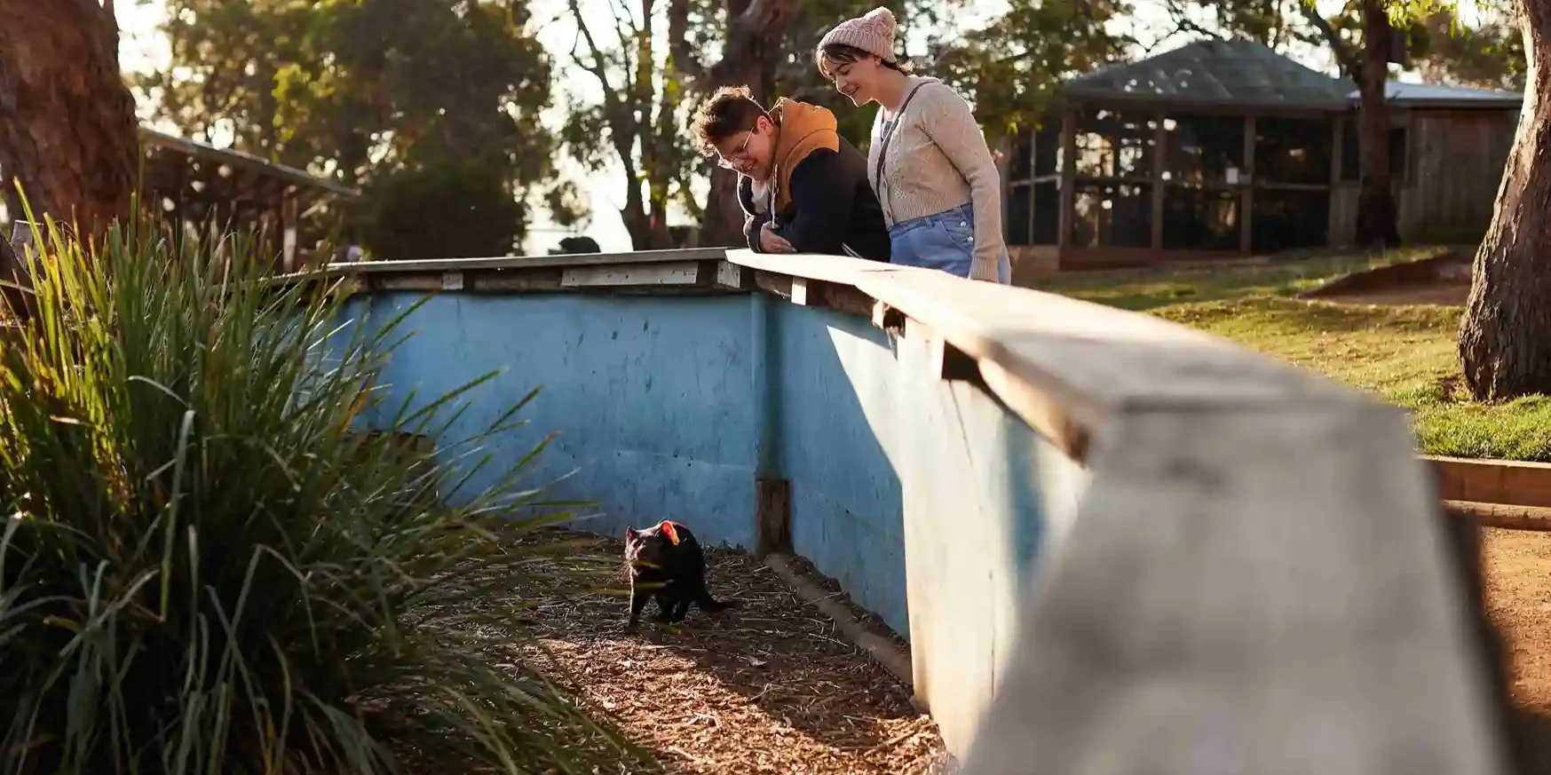 Two people looking at a Tasmanian devil
