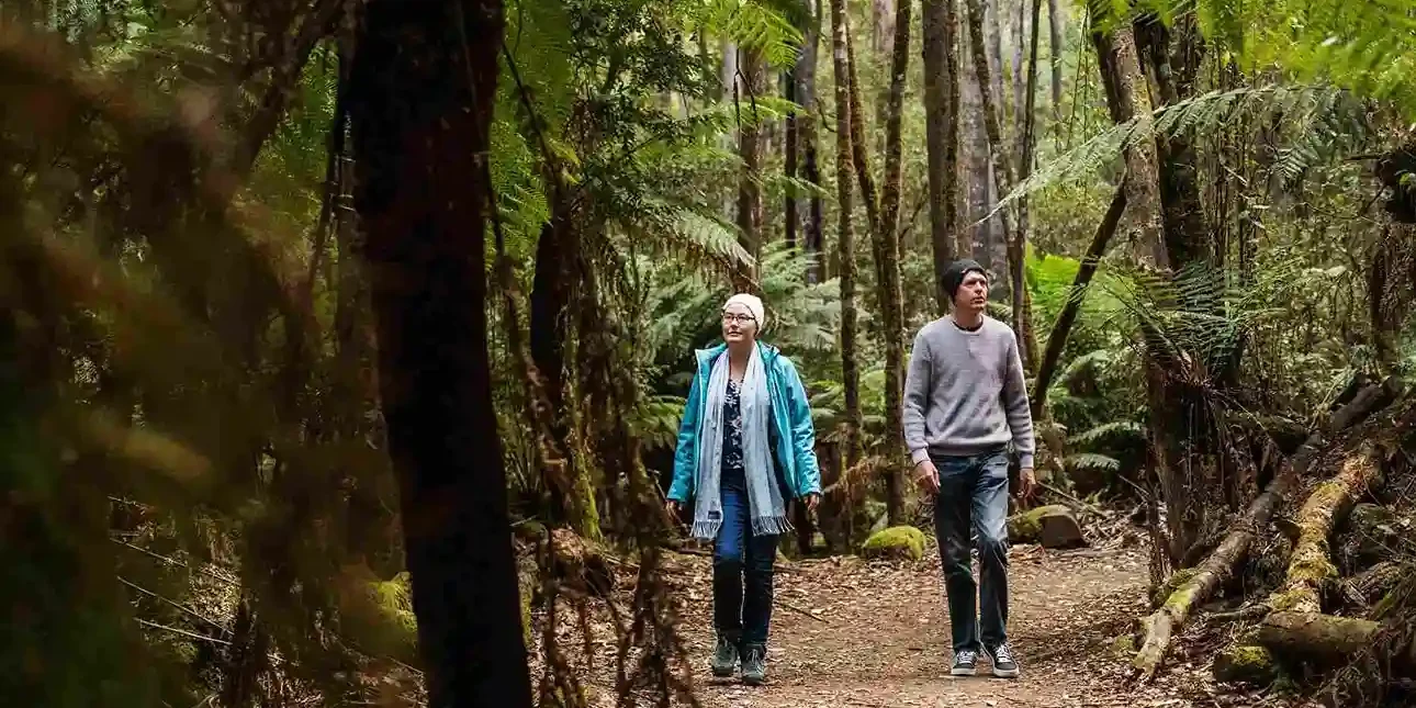 A man and a woman wandering in the Mount Field