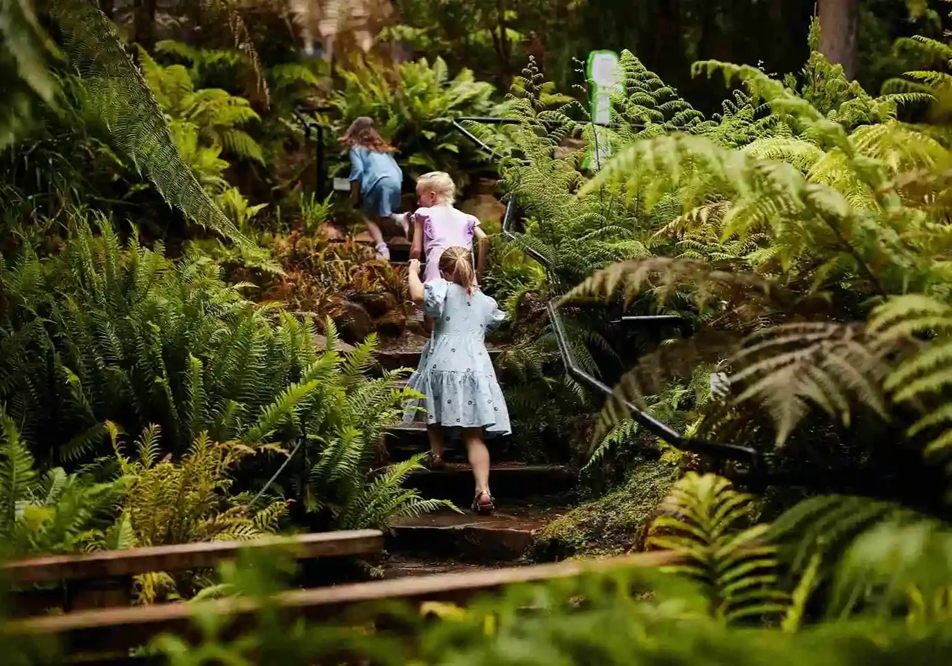 Children walking in the Royal Botanical Garden